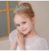 Blue or purple tiara for girl