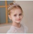 Blue or purple tiara for girl