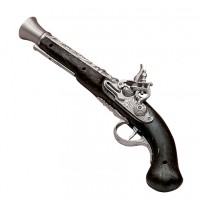 Ancient pirate gun
