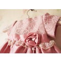 Baby Flower Girl Shantung Formal Dress Pink or Champagne 