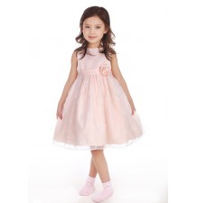 Flower Girl Formal Dress 3T Pink