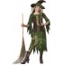 Incharacter Carnival Wild Woods Witch Costume 8-14 years