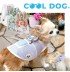 Cool Dog - Ventilateur portable pour chiens et chats