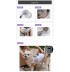 Cool Dog - Ventilatore indossabile per cani e gatti