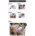 Cool Dog - Wearable Fan for Dogs and Cats
