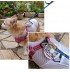 Cool Dog - Ventilatore indossabile per cani e gatti