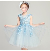 Embroidered flower girl formal dress sky blue 100-160cm