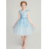 Embroidered flower girl formal dress sky blue 100-160cm