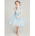 Embroidered flower girl formal dress sky blue 100-160cm